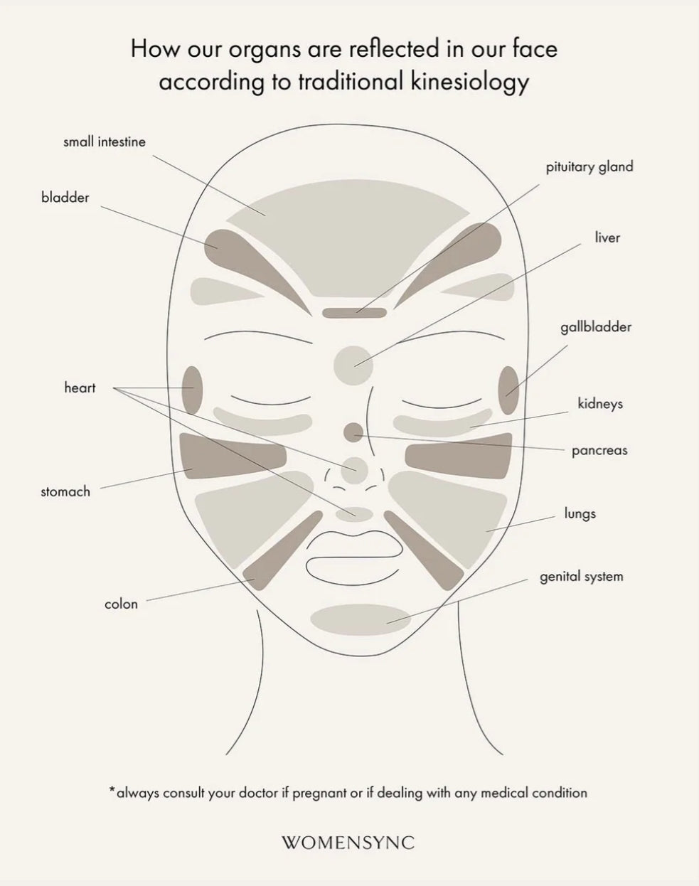 WOMENSYNC ~ Massage Pen face map